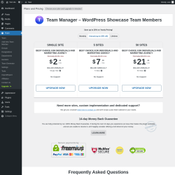 Page screenshot: Team → Upgrade  ➤