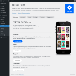 Page screenshot: TikTok Feed → Feeds → Welcome