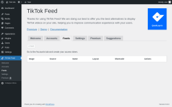 Page screenshot: TikTok Feed → Feeds