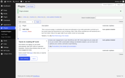 Page screenshot: Plugins &lsaquo; Test site &mdash; WordPress