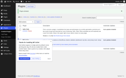 Page screenshot: Plugins &lsaquo; Test site &mdash; WordPress