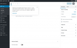 Page screenshot: Add New Post &lsaquo; Test site &mdash; WordPress