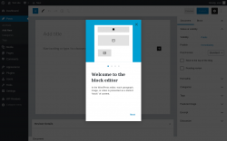 Page screenshot: Add New Post &lsaquo; Test site &mdash; WordPress