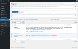 Page screenshot: Plugins ‹ Test site — WordPress