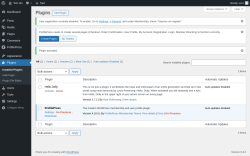 Page screenshot: Plugins ‹ Test site — WordPress