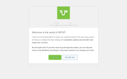 Page screenshot: WPUF › Setup Wizard