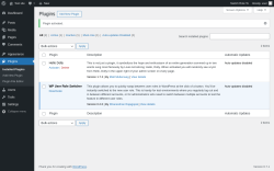Page screenshot: Plugins &lsaquo; Test site &mdash; WordPress