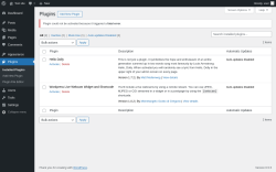 Page screenshot: Plugins &lsaquo; Test site &mdash; WordPress