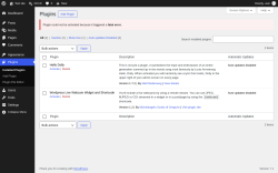 Page screenshot: Plugins &lsaquo; Test site &mdash; WordPress
