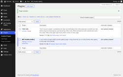 Page screenshot: Plugins &lsaquo; Test site &mdash; WordPress