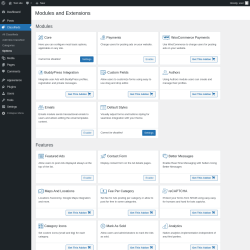 Page screenshot: Classifieds → Options