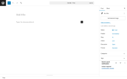 Page screenshot: Add Post ‹ Test site — WordPress