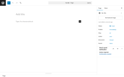 Page screenshot: Add Page ‹ Test site — WordPress