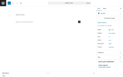 Page screenshot: Add Post ‹ Test site — WordPress