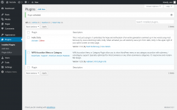 Page screenshot: Plugins ‹ Test site — WordPress