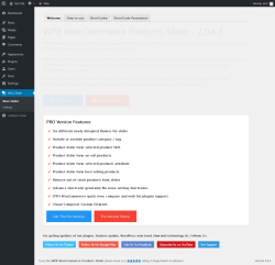 Page screenshot: Woo Slider