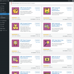 Page screenshot: WPClever → Essential Kit