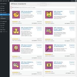 Page screenshot: WPClever → Essential Kit