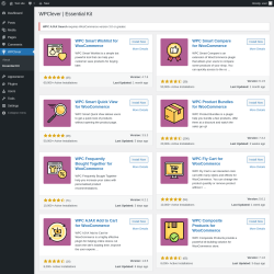 Page screenshot: WPClever → Essential Kit