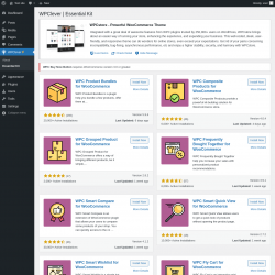 Page screenshot: WPClever → Essential Kit