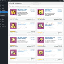 Page screenshot: WPClever → Essential Kit