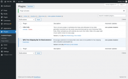 Page screenshot: Plugins ‹ Test site — WordPress