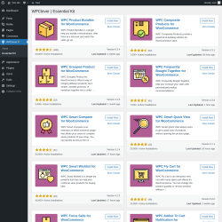 Page screenshot: WPClever → Essential Kit