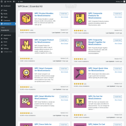 Page screenshot: WPClever → Essential Kit