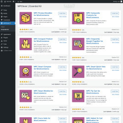 Page screenshot: WPClever → Essential Kit