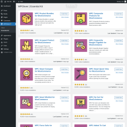 Page screenshot: WPClever → Essential Kit