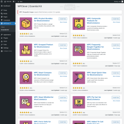 Page screenshot: WPClever → Essential Kit