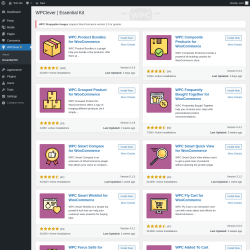 Page screenshot: WPClever → Essential Kit