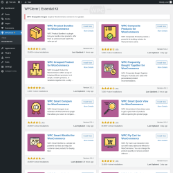 Page screenshot: WPClever → Essential Kit