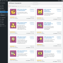 Page screenshot: WPClever → Essential Kit