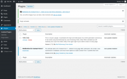 Page screenshot: Plugins &lsaquo; Test site &mdash; WordPress