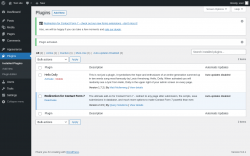 Page screenshot: Plugins &lsaquo; Test site &mdash; WordPress