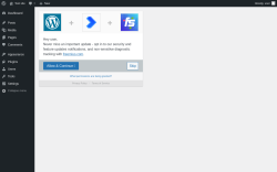 Page screenshot: Redirection settings &lsaquo; Test site &mdash; WordPress