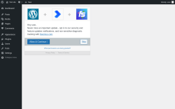 Page screenshot: Redirection settings &lsaquo; Test site &mdash; WordPress