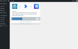 Page screenshot: Redirection settings &lsaquo; Test site &mdash; WordPress