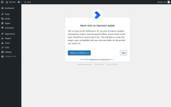 Page screenshot: Redirection settings &lsaquo; Test site &mdash; WordPress