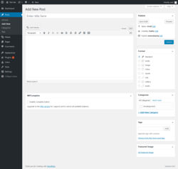 Page screenshot: Add New Post &lsaquo; Test site &mdash; WordPress