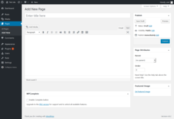 Page screenshot: Add New Page &lsaquo; Test site &mdash; WordPress