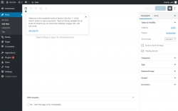 Page screenshot: Add New Post &lsaquo; Test site &mdash; WordPress