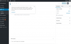 Page screenshot: Add New Page &lsaquo; Test site &mdash; WordPress