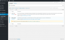 Page screenshot: Plugins &lsaquo; Test site &mdash; WordPress