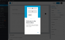Page screenshot: Add New Post &lsaquo; Test site &mdash; WordPress