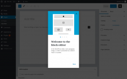 Page screenshot: Add New Page &lsaquo; Test site &mdash; WordPress