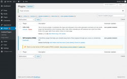 Page screenshot: Plugins &lsaquo; Test site &mdash; WordPress