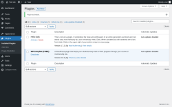 Page screenshot: Plugins &lsaquo; Test site &mdash; WordPress