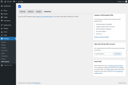 Page screenshot: Settings &rarr; WPComplete &rarr; Advanced
